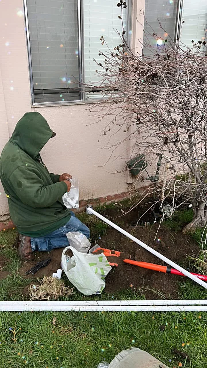 Worker removing dead shrub branches from foundation bed with hand pruning tools