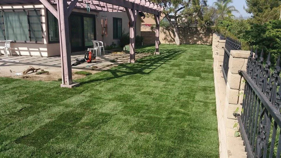 Newly installed sod lawn with wooden pergola, concrete patio, and decorative metal fencing