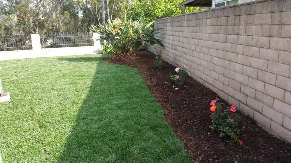 Mulch landscape bed with flowering plants and palm tree along retaining wall, manicured lawn