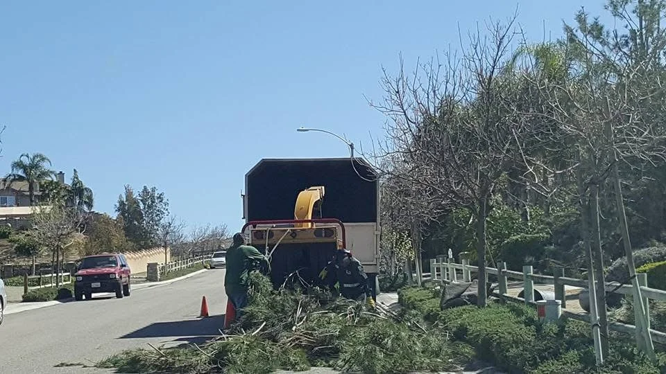 Wood chipper truck removing branches and brush from residential property with white fence