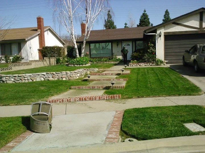 Newly sodded lawn with brick edging, mature trees, and ornamental plantings in front yard