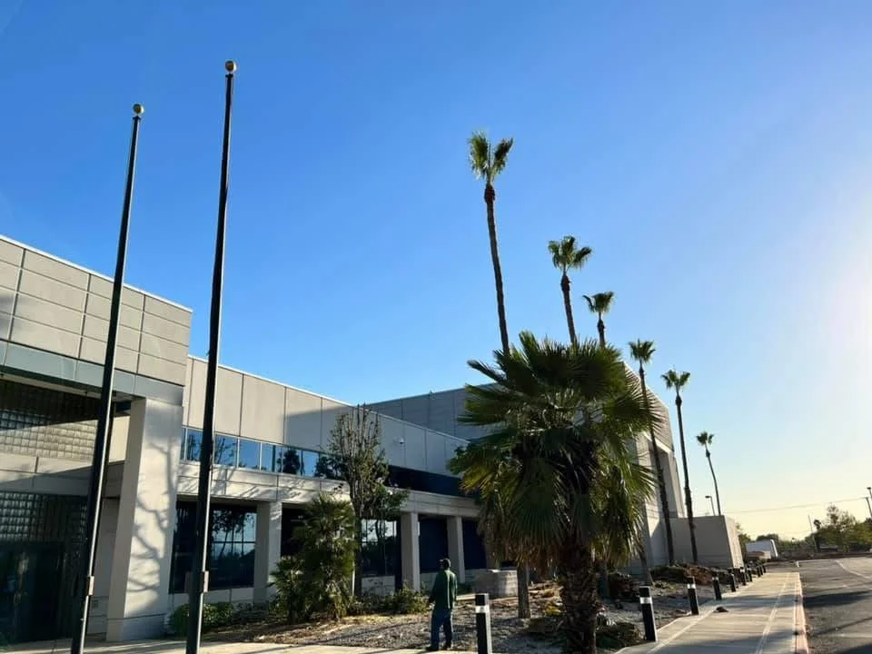 Tall palm trees and landscape plantings installed at commercial building entrance with modern architecture