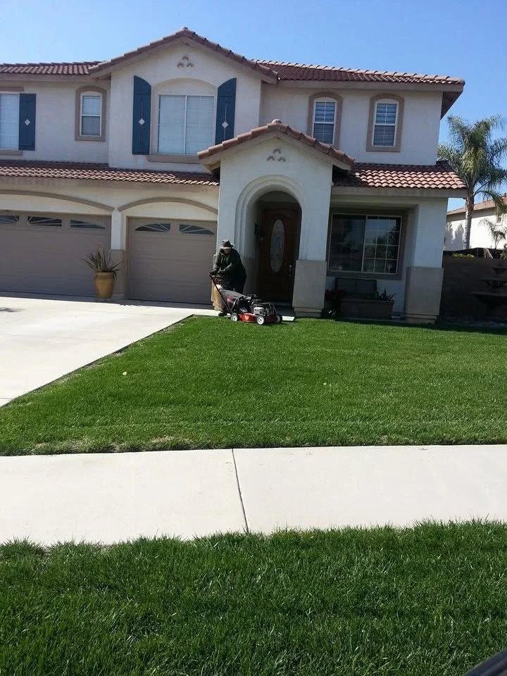 Manicured front lawn with even grass coverage and clean concrete edging on residential home