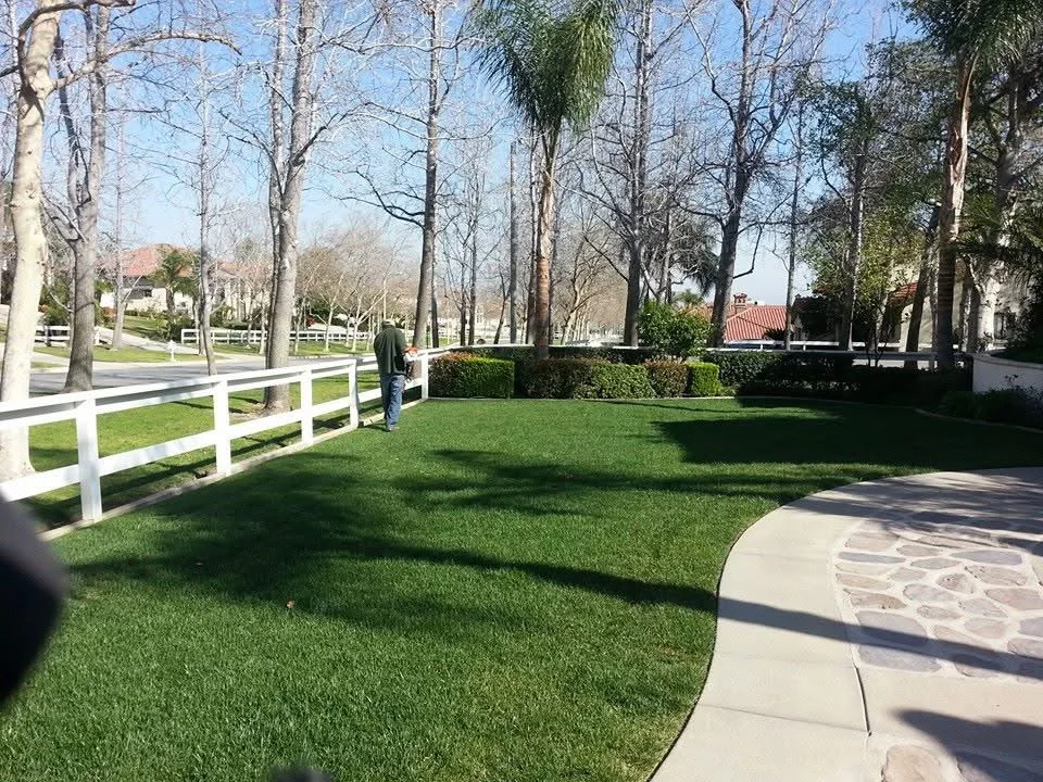 Well-maintained lawn with white fencing, mature trees, and trimmed hedges on residential estate